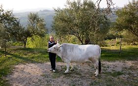 Tourist Farm Robivera