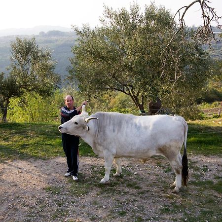 Tourist Farm Robivera Šmarje Esterno foto
