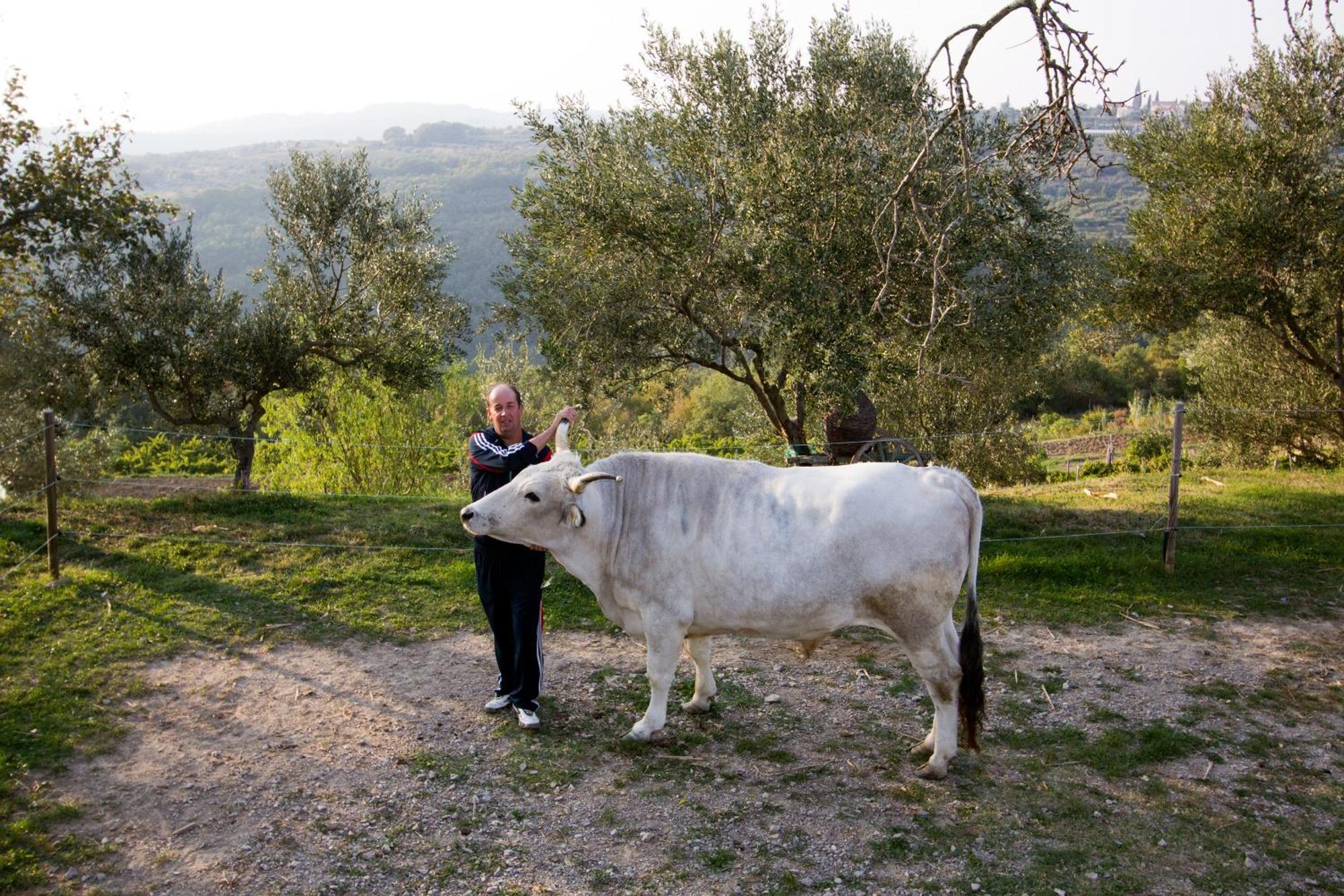 Tourist Farm Robivera Šmarje Esterno foto
